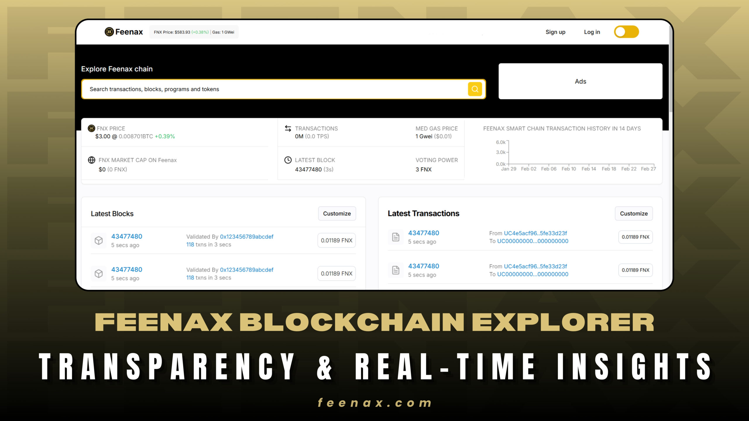 Feenax Blockchain Explorer: Transparency & Real-Time Insights