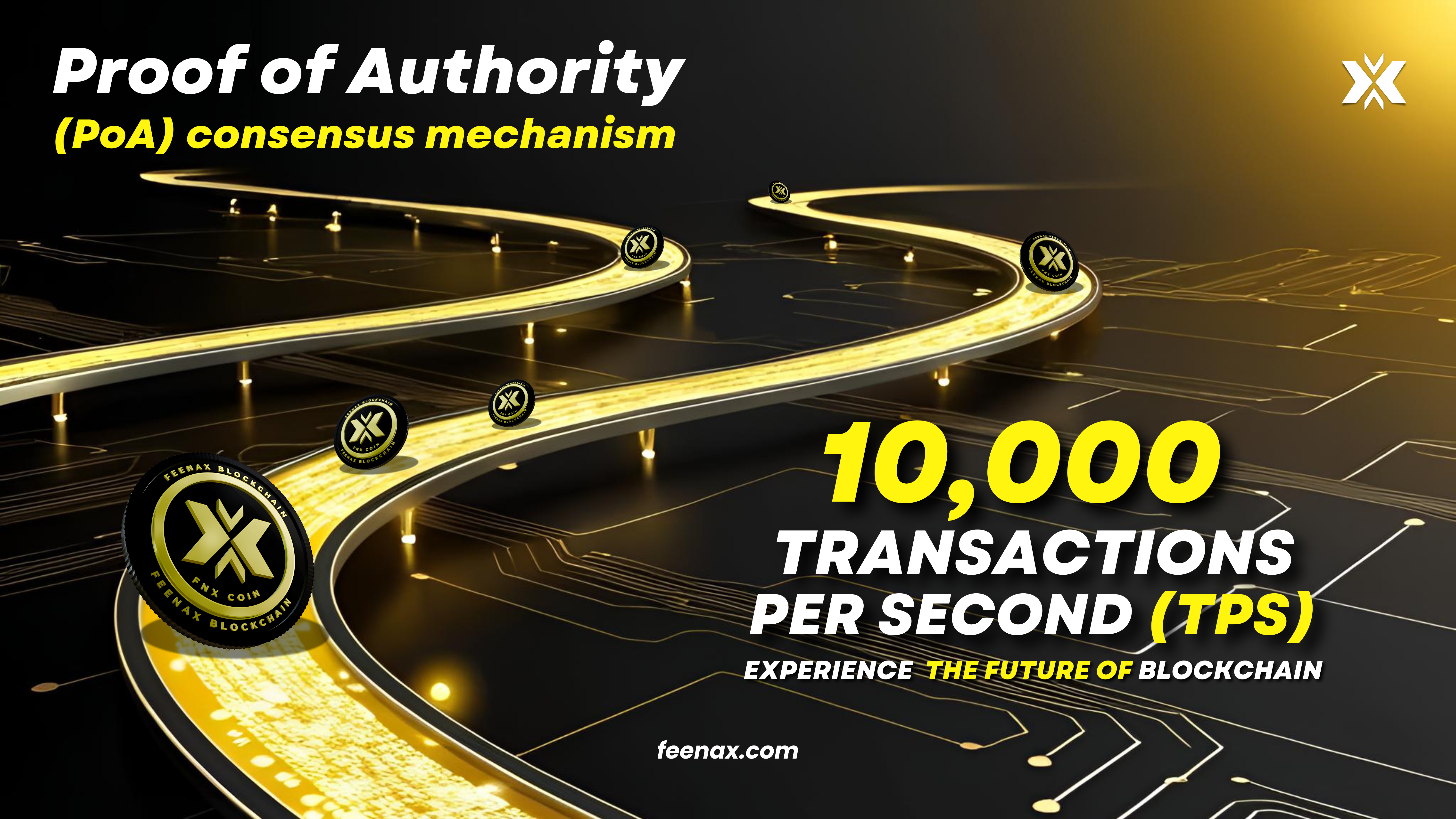 Feenax Chain: The Future of High-Speed Blockchain Transactions