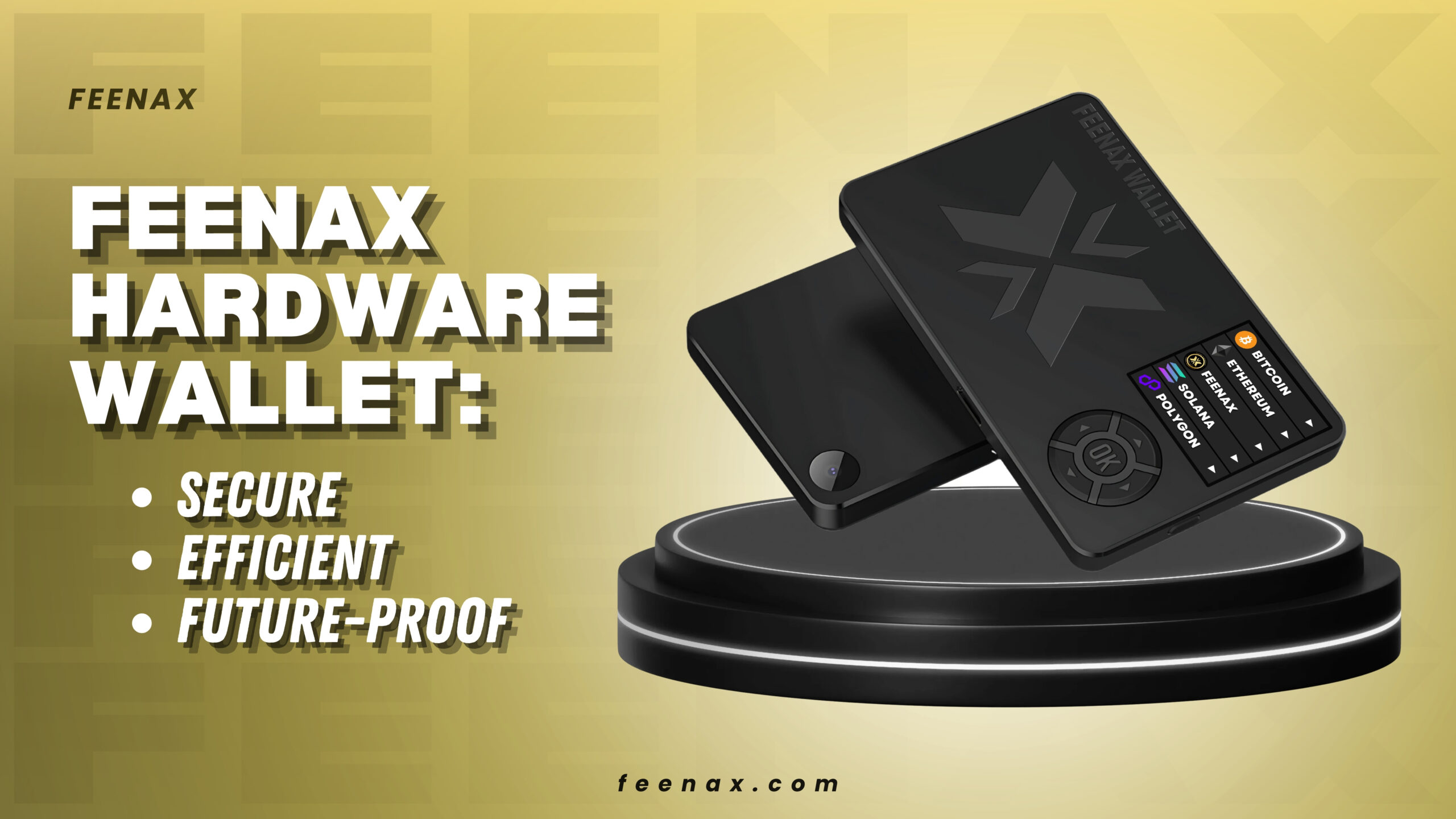 Feenax Hardware Wallet: Secure, Efficient, and Future-Proof